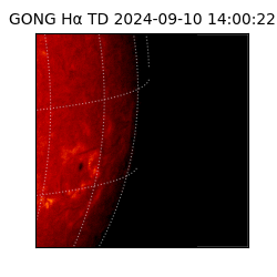 gong - 2024-09-10T14:00:22