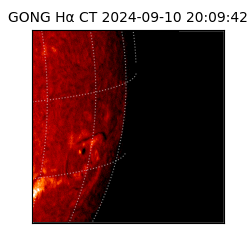 gong - 2024-09-10T20:09:42