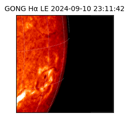 gong - 2024-09-10T23:11:42