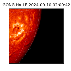 gong - 2024-09-10T02:00:42