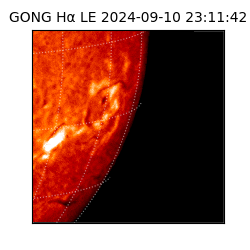 gong - 2024-09-10T23:11:42