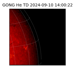 gong - 2024-09-10T14:00:22