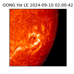 gong - 2024-09-10T02:00:42