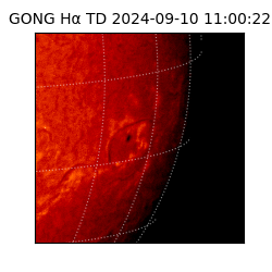 gong - 2024-09-10T11:00:22