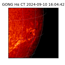 gong - 2024-09-10T16:04:42