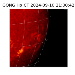 gong - 2024-09-10T21:00:42