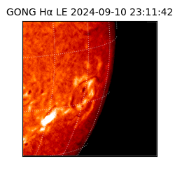 gong - 2024-09-10T23:11:42