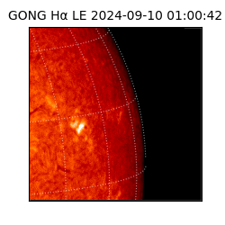 gong - 2024-09-10T01:00:42