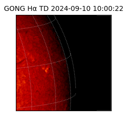 gong - 2024-09-10T10:00:22