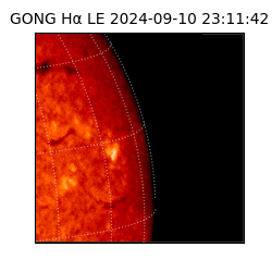 gong - 2024-09-10T23:11:42