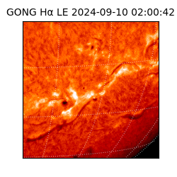 gong - 2024-09-10T02:00:42