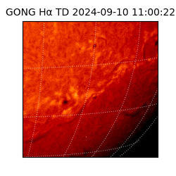 gong - 2024-09-10T11:00:22