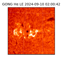 gong - 2024-09-10T02:00:42