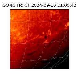 gong - 2024-09-10T21:00:42