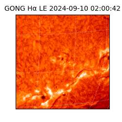 gong - 2024-09-10T02:00:42