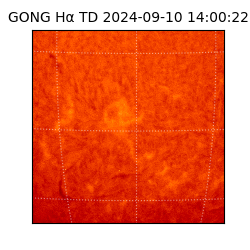 gong - 2024-09-10T14:00:22