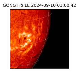 gong - 2024-09-10T01:00:42