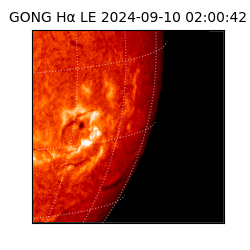gong - 2024-09-10T02:00:42
