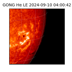 gong - 2024-09-10T04:00:42