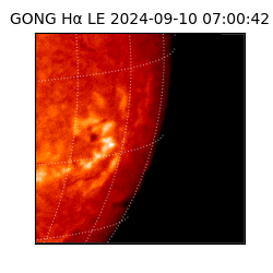 gong - 2024-09-10T07:00:42