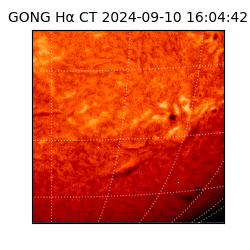 gong - 2024-09-10T16:04:42