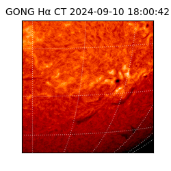 gong - 2024-09-10T18:00:42