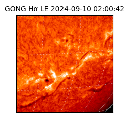 gong - 2024-09-10T02:00:42