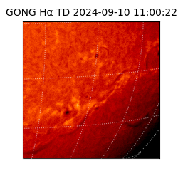 gong - 2024-09-10T11:00:22