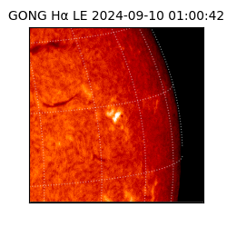 gong - 2024-09-10T01:00:42