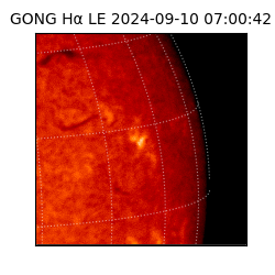 gong - 2024-09-10T07:00:42