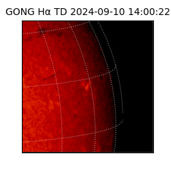 gong - 2024-09-10T14:00:22