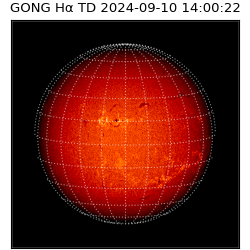 gong - 2024-09-10T14:00:22