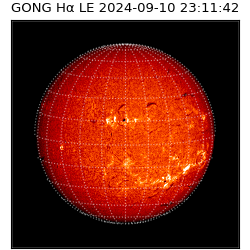 gong - 2024-09-10T23:11:42