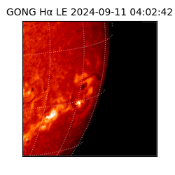 gong - 2024-09-11T04:02:42