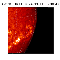 gong - 2024-09-11T06:00:42