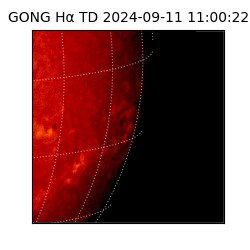 gong - 2024-09-11T11:00:22