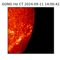 gong - 2024-09-11T14:00:42