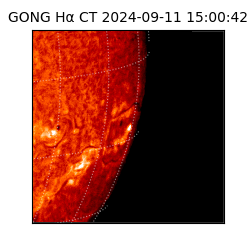 gong - 2024-09-11T15:00:42