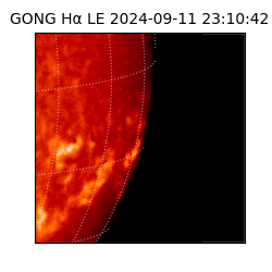 gong - 2024-09-11T23:10:42