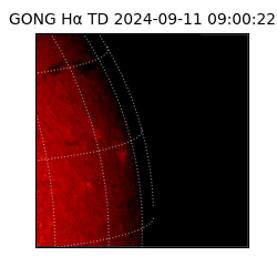 gong - 2024-09-11T09:00:22