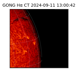 gong - 2024-09-11T13:00:42