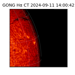 gong - 2024-09-11T14:00:42