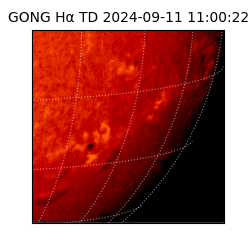 gong - 2024-09-11T11:00:22