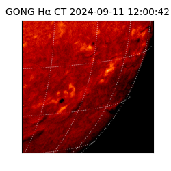 gong - 2024-09-11T12:00:42