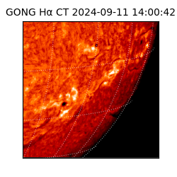 gong - 2024-09-11T14:00:42