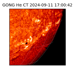 gong - 2024-09-11T17:00:42