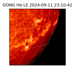 gong - 2024-09-11T23:10:42