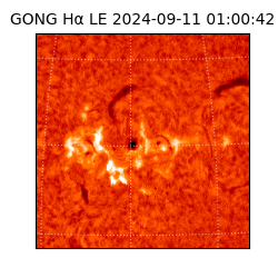 gong - 2024-09-11T01:00:42