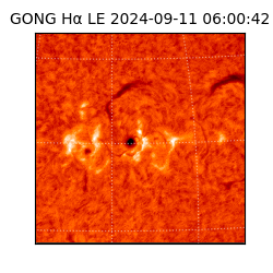 gong - 2024-09-11T06:00:42