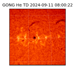 gong - 2024-09-11T08:00:22